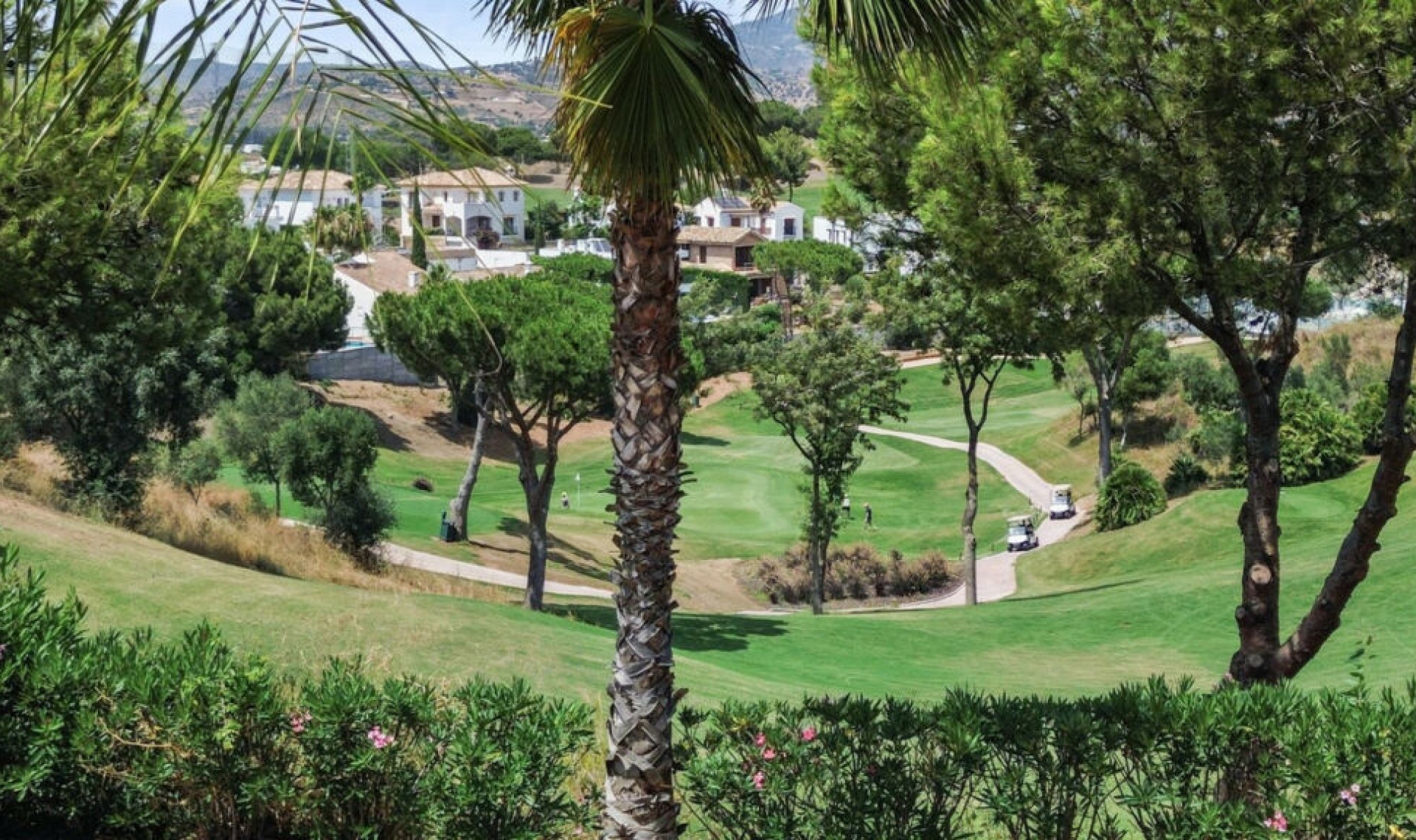 Resale - House -
La Cala Golf