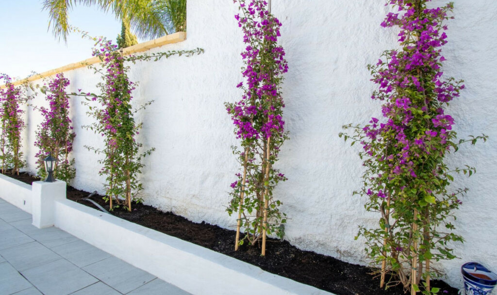 Resale - House -
La Cala Hills