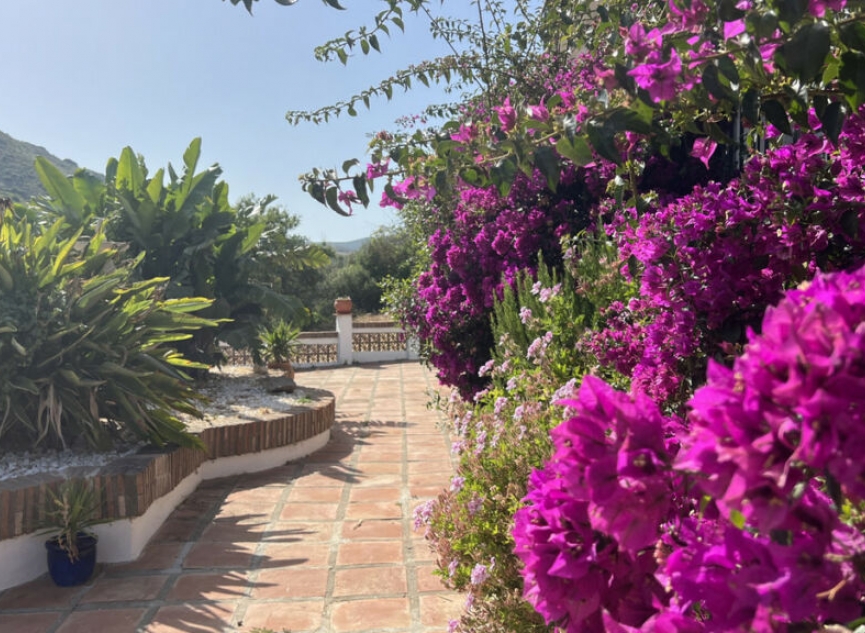 Resale - House -
La Duquesa