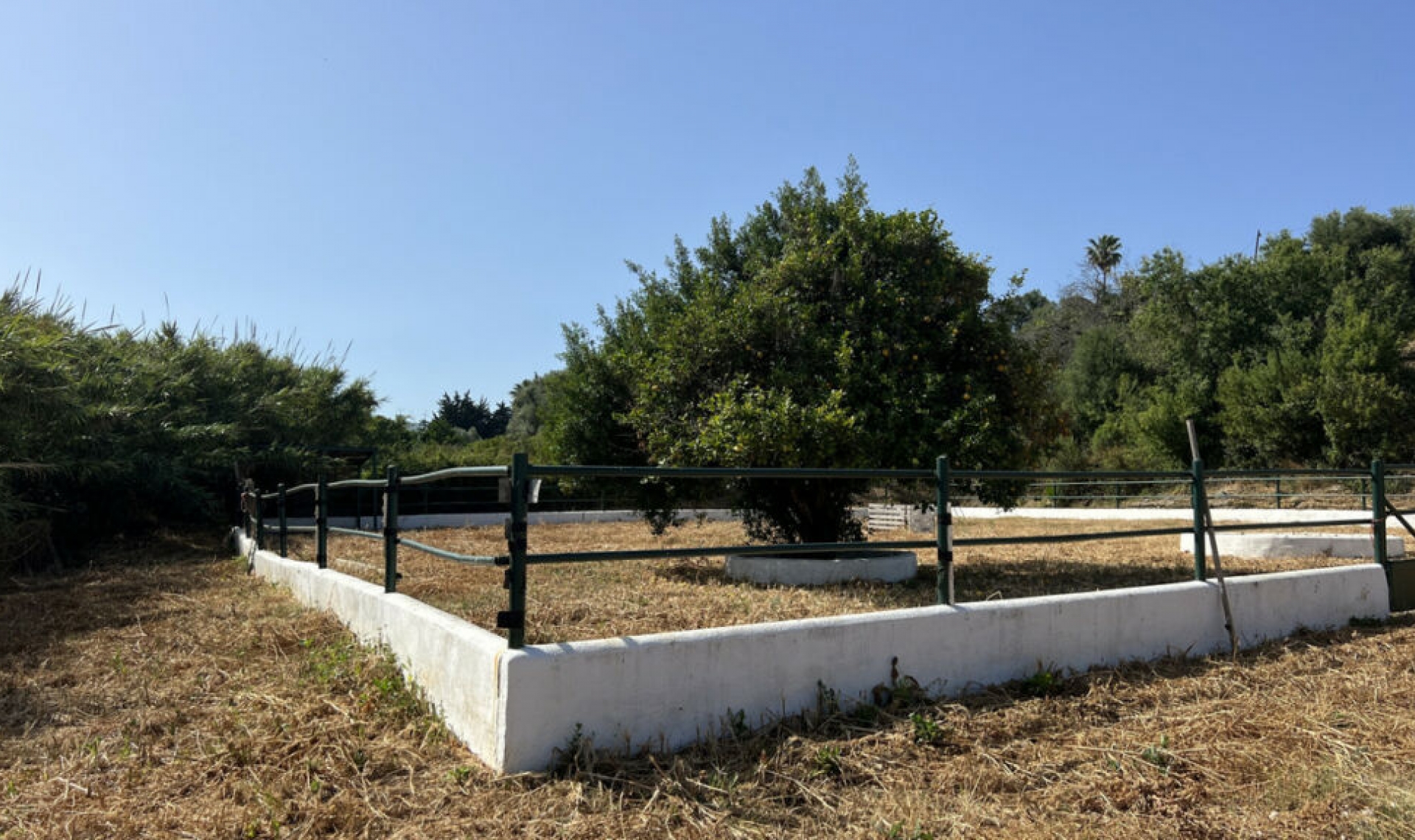 Resale - House -
La Duquesa