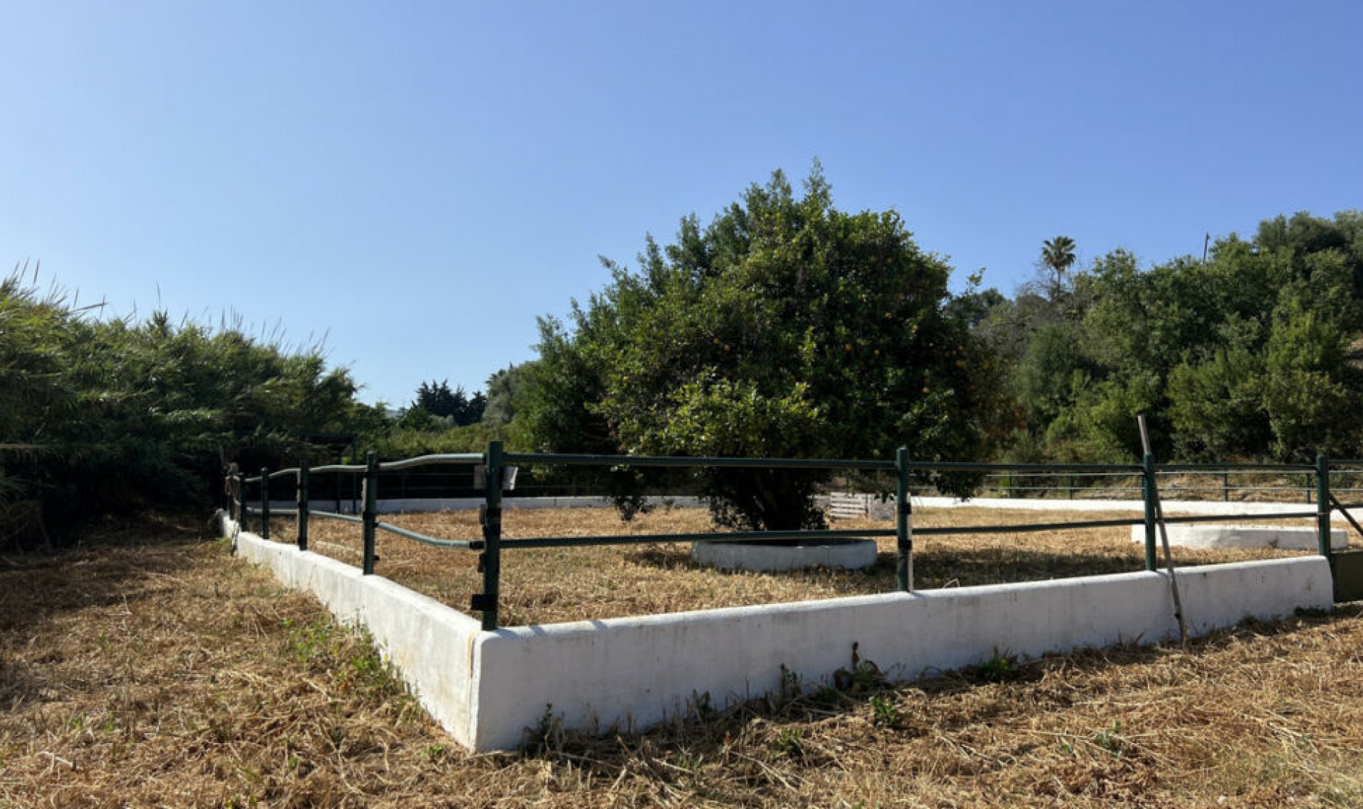 Resale - House -
La Duquesa