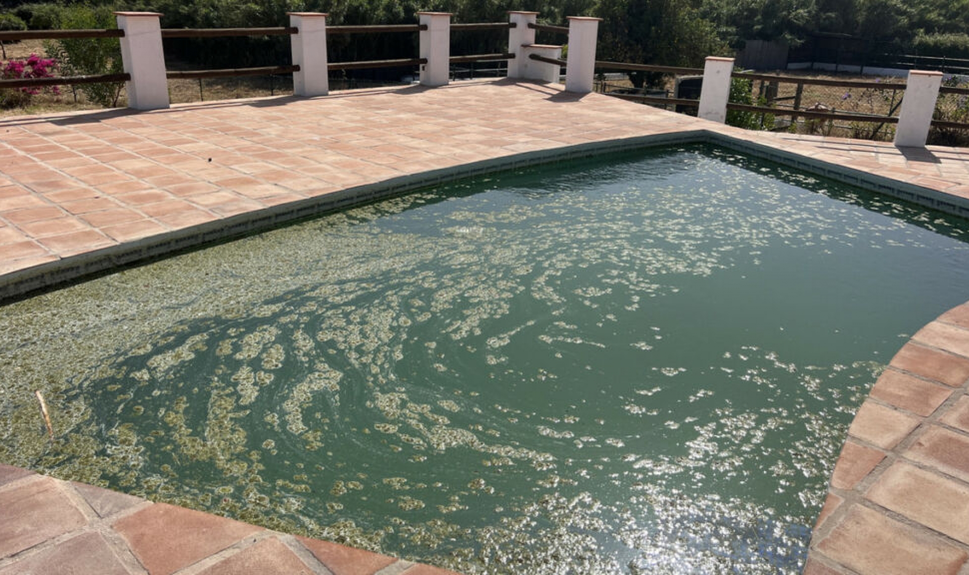 Resale - House -
La Duquesa