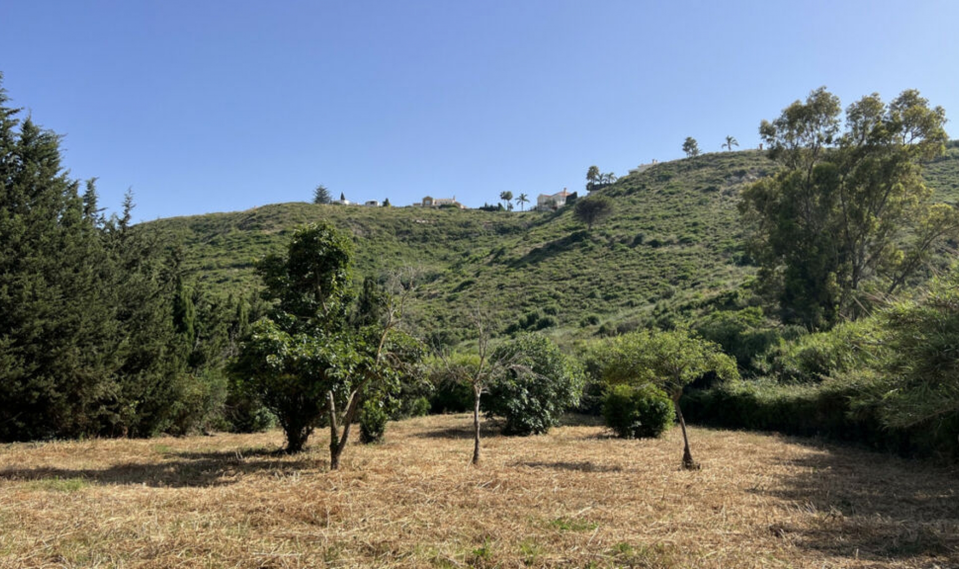 Resale - House -
La Duquesa