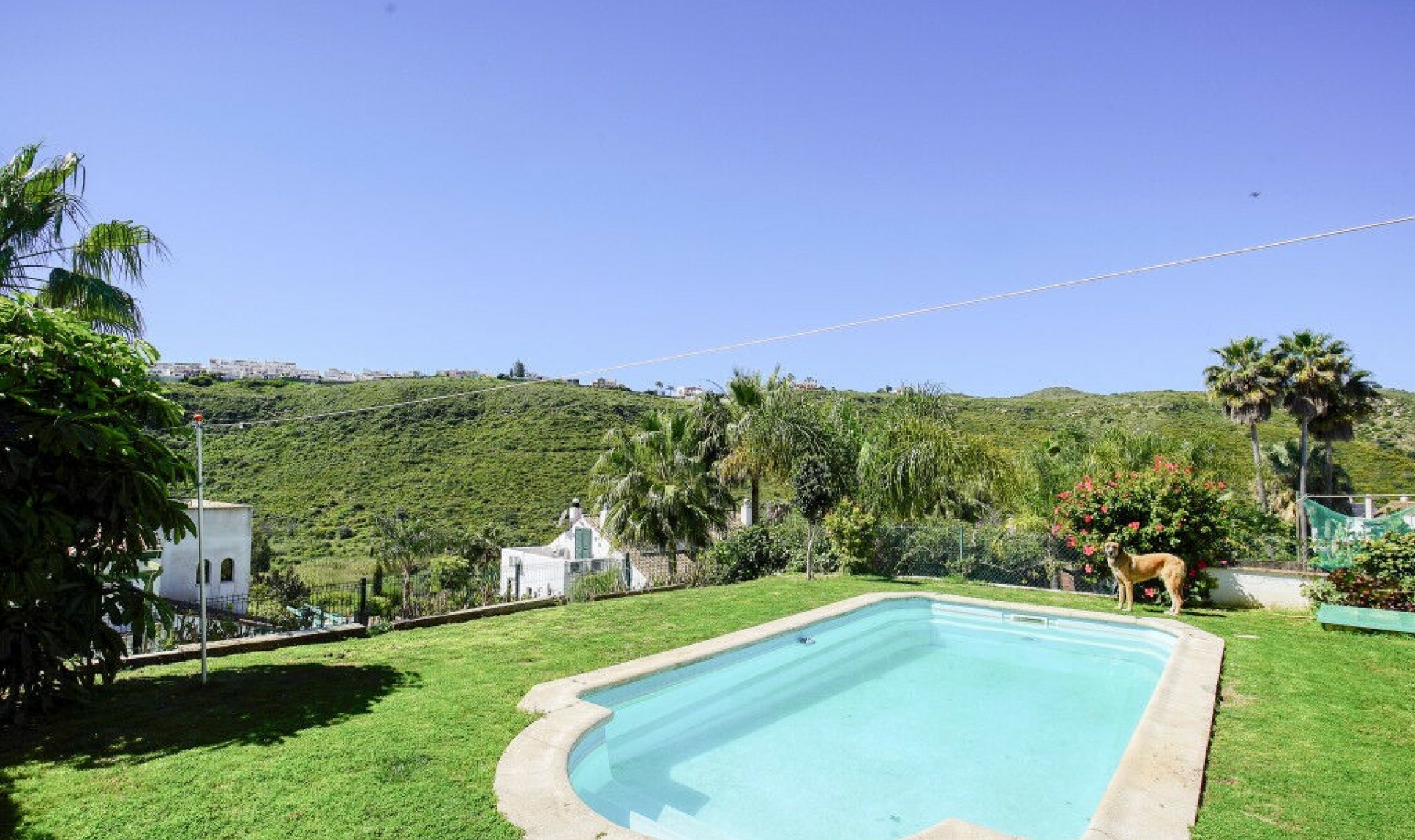 Resale - House -
La Duquesa