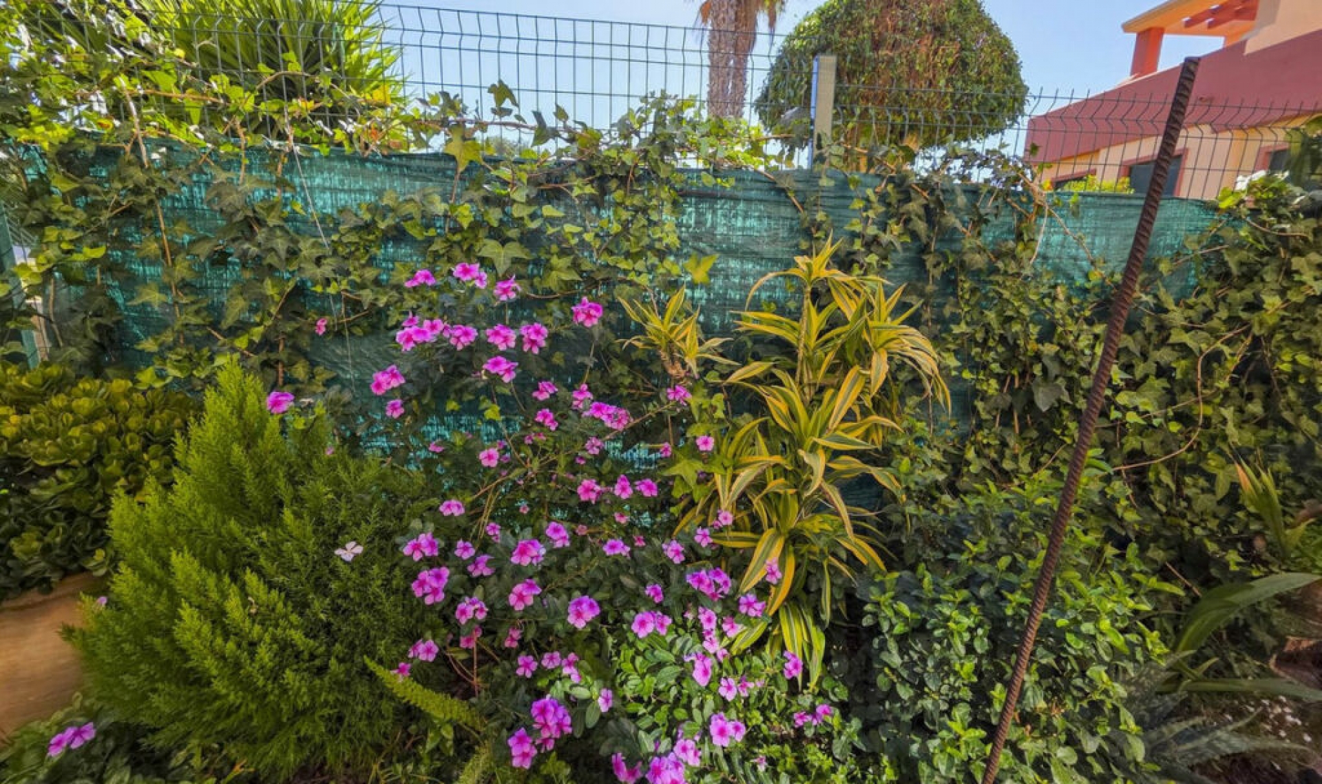 Resale - House -
La Duquesa