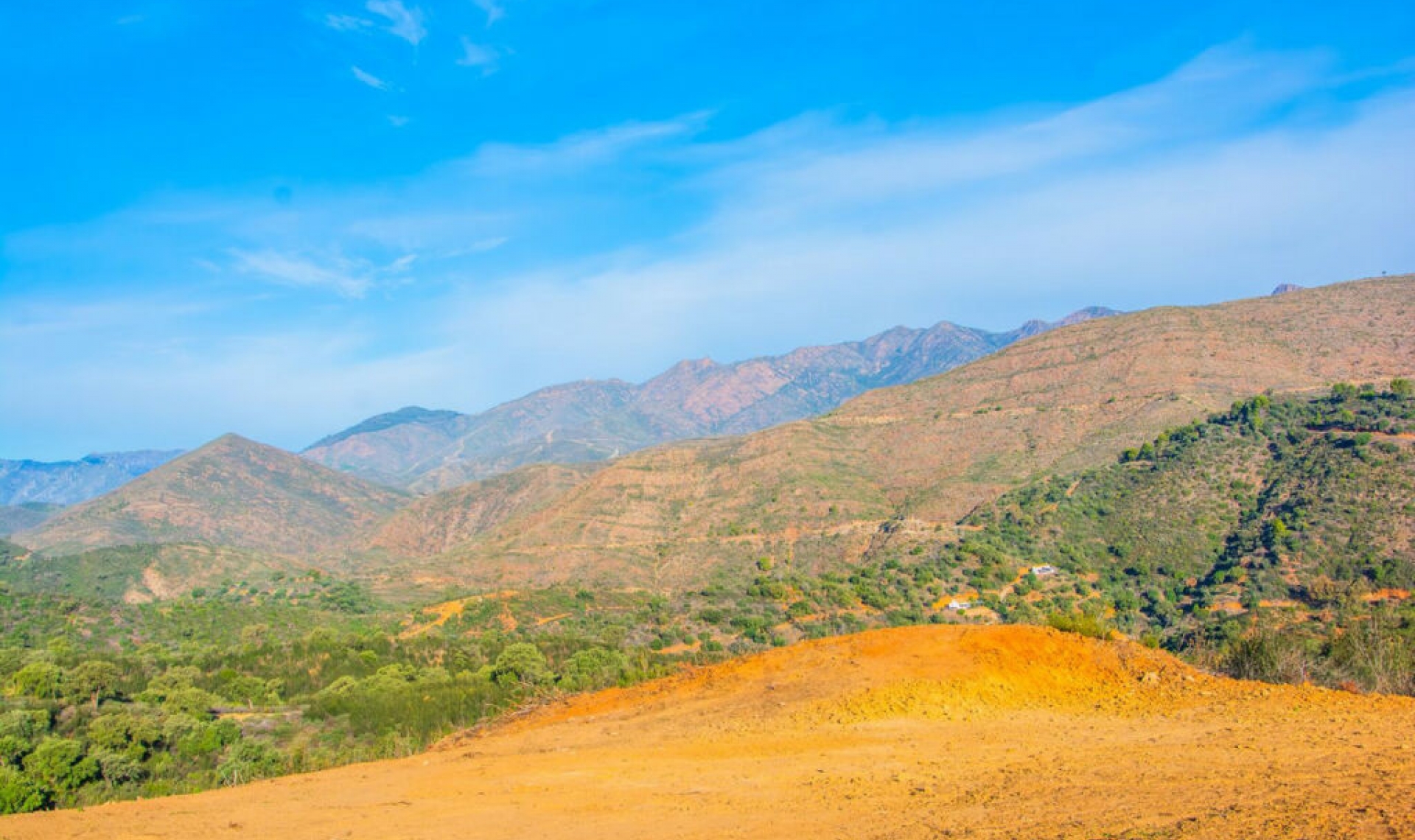 Resale - House -
La Mairena