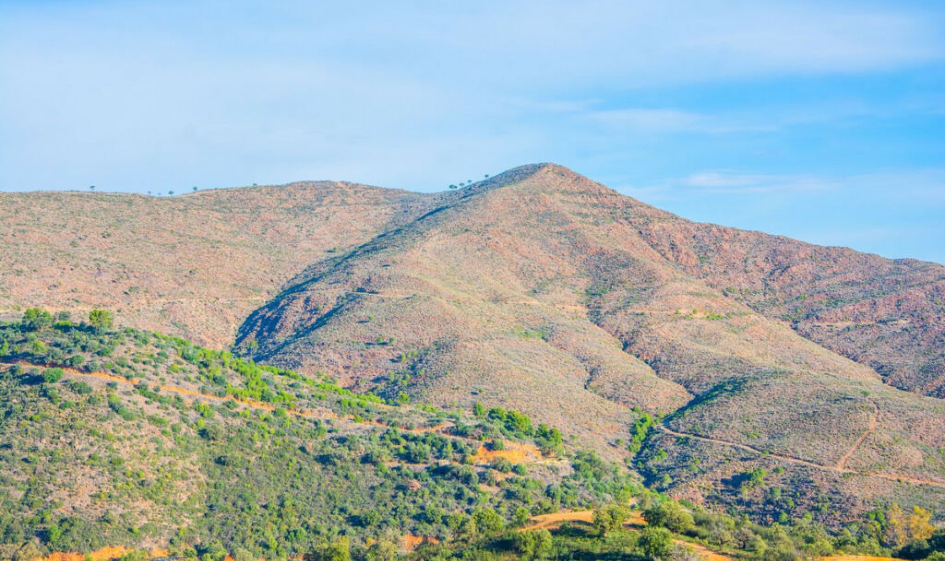 Resale - House -
La Mairena