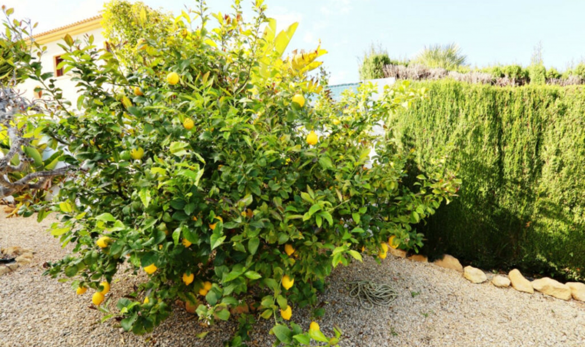 Resale - House -
La Nucía