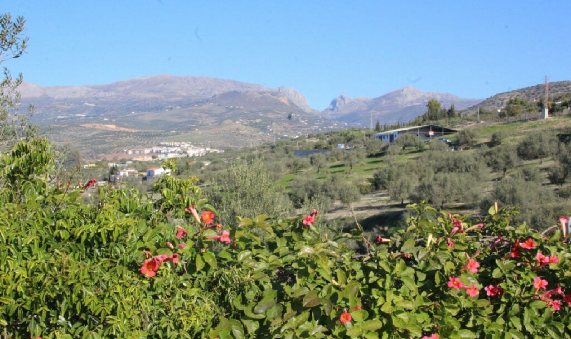 Resale - House -
La Viñuela