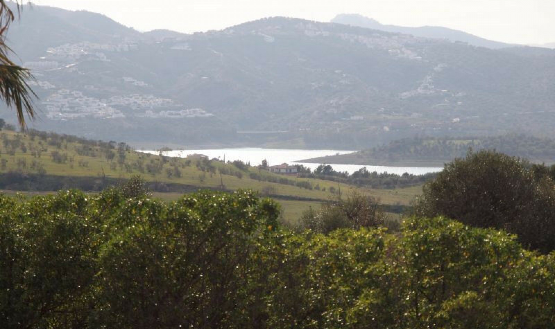 Resale - House -
La Viñuela