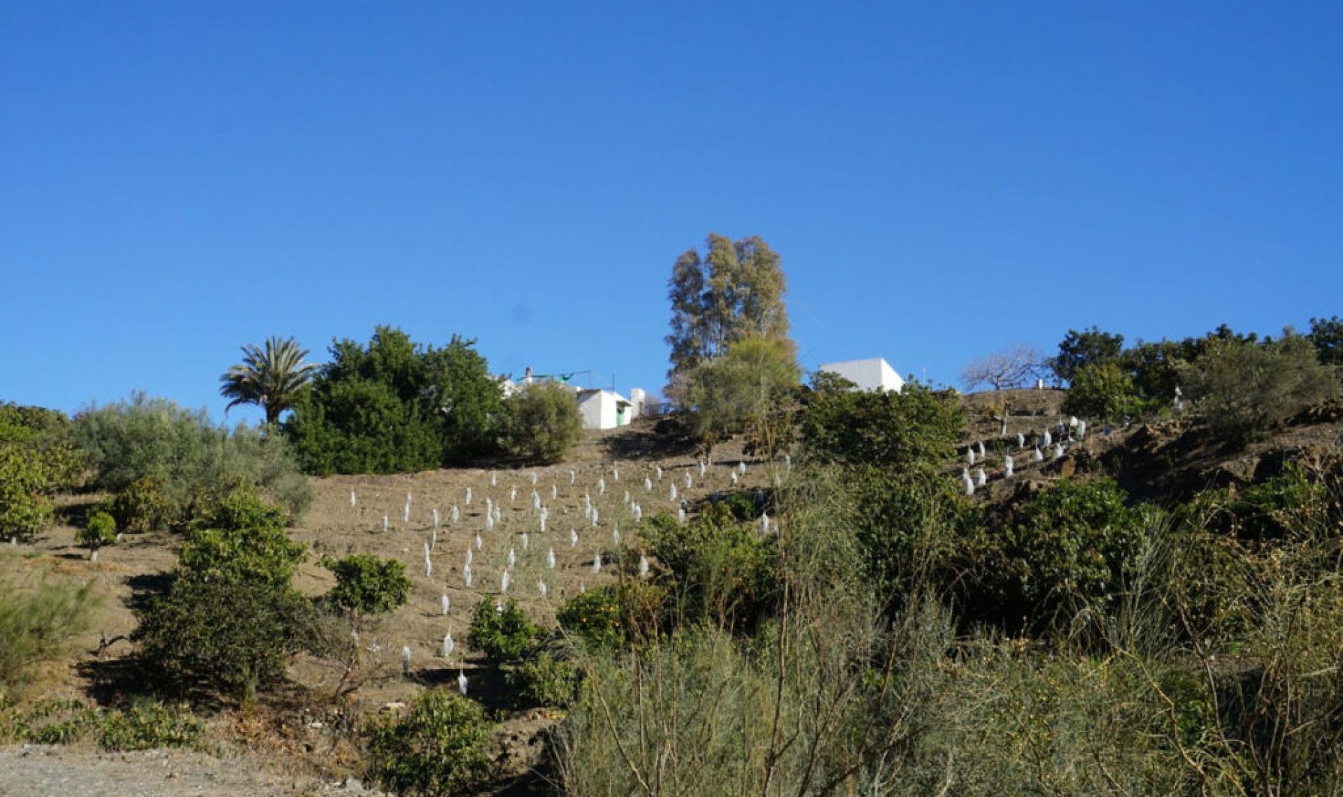 Resale - House -
La Viñuela