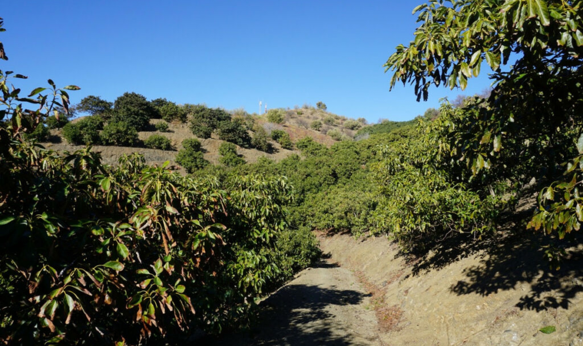 Resale - House -
La Viñuela