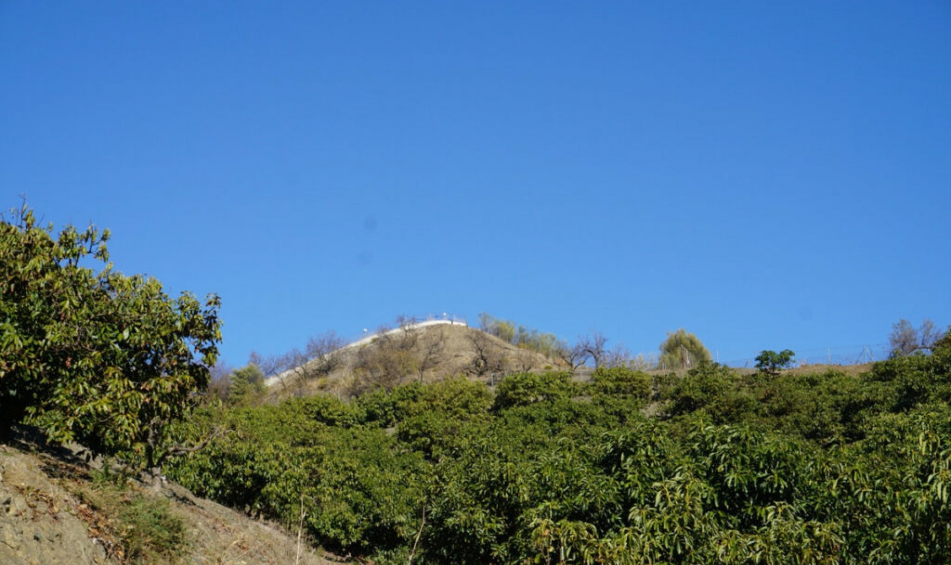 Resale - House -
La Viñuela