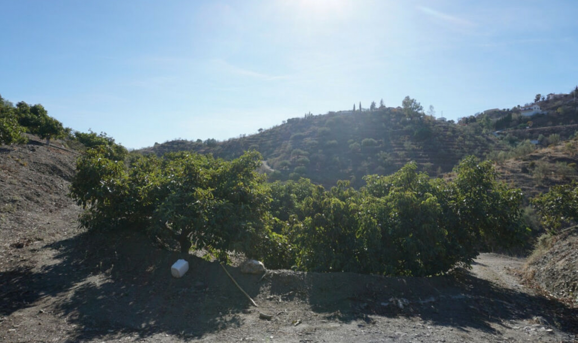 Resale - House -
La Viñuela