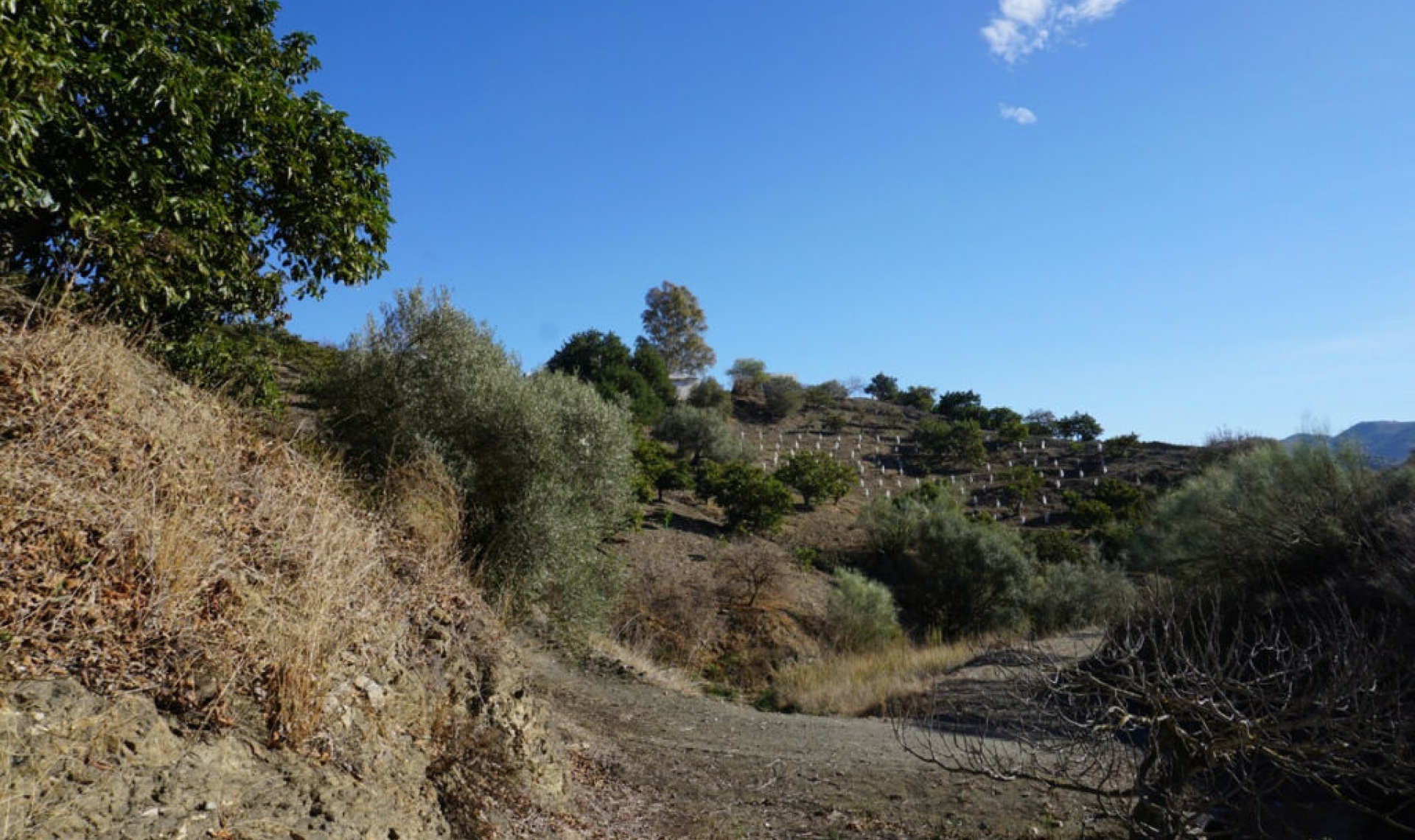 Resale - House -
La Viñuela