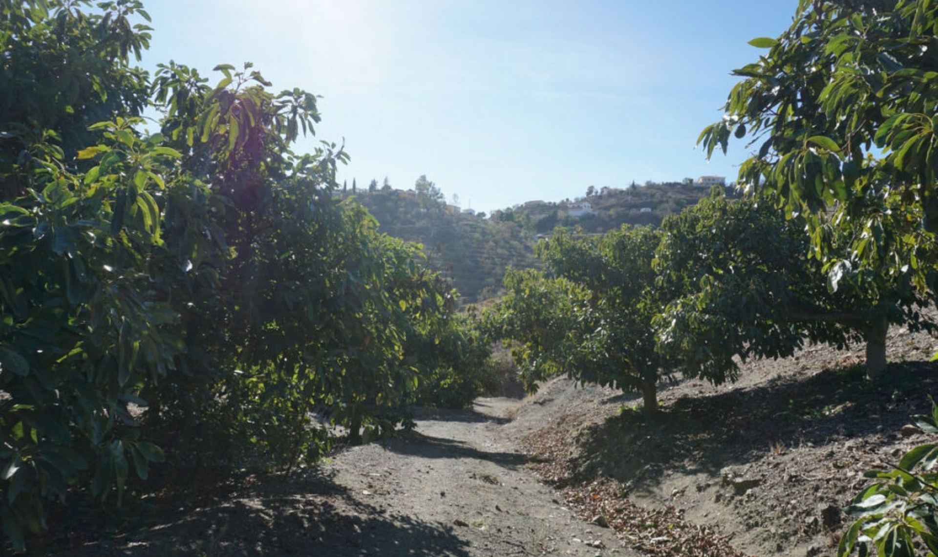 Resale - House -
La Viñuela