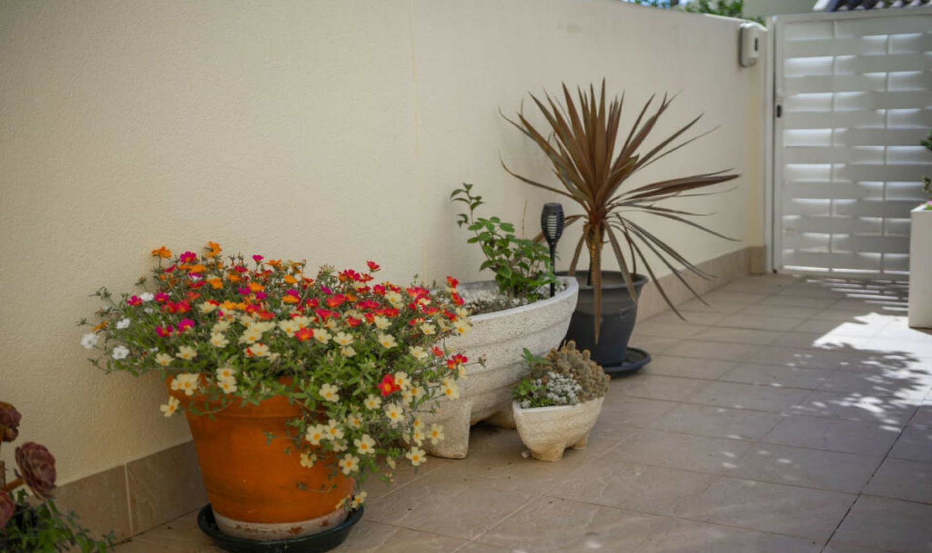 Resale - House -
Las Ramblas Golf