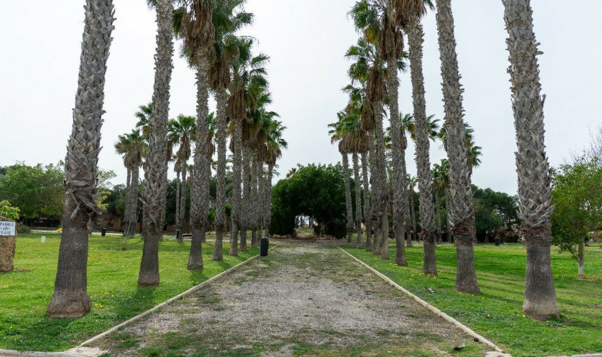 Resale - House -
Los Altos