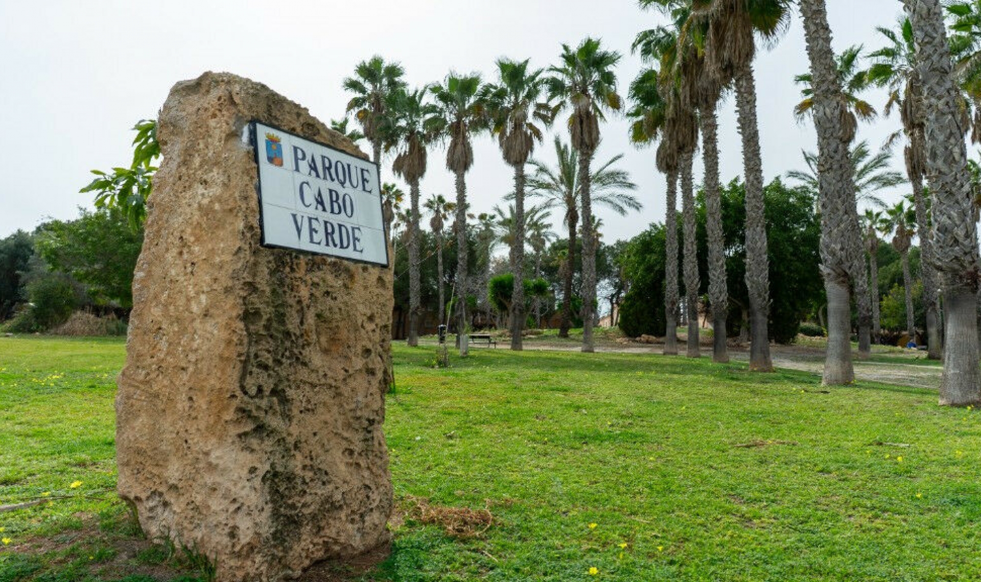 Resale - House -
Los Altos