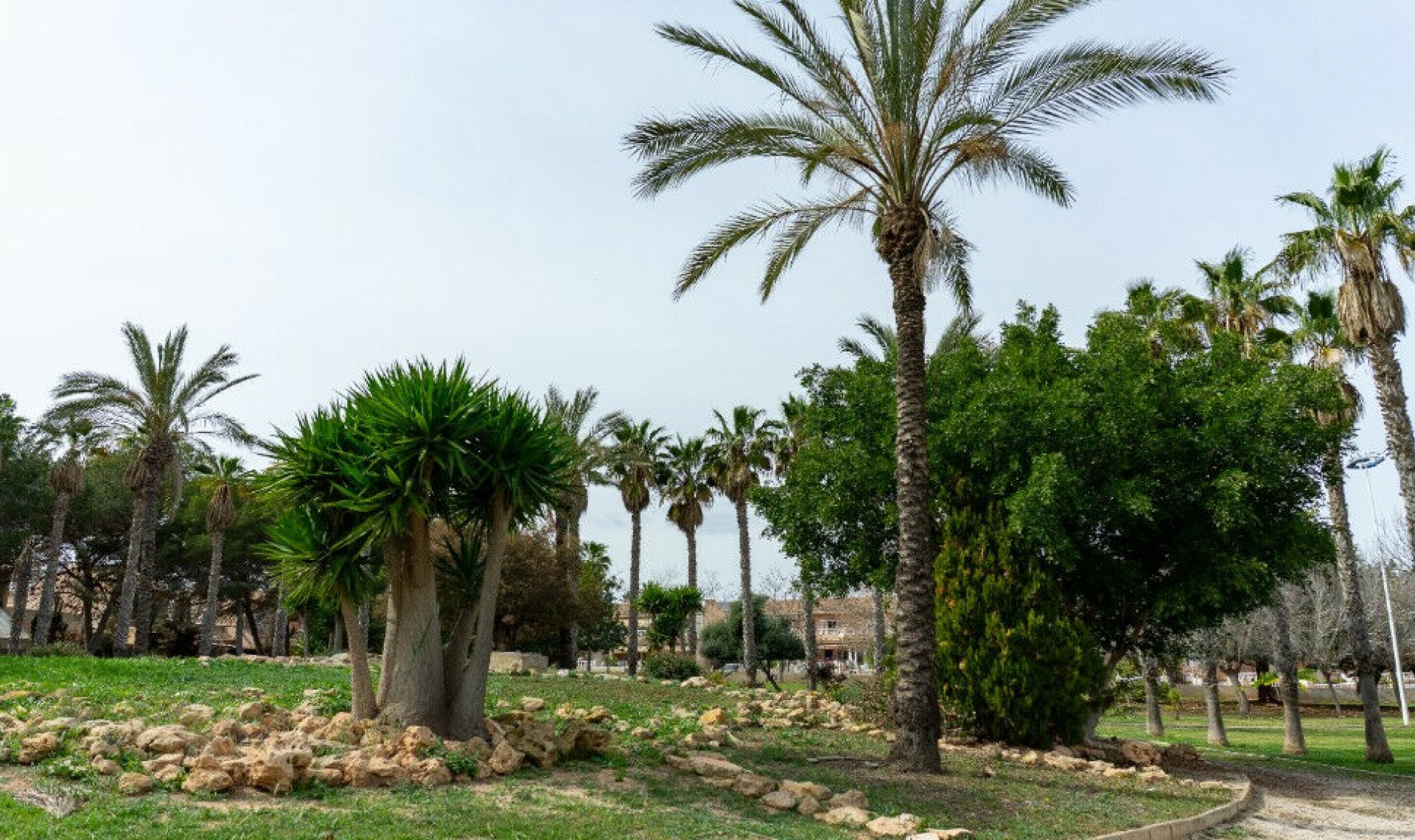 Resale - House -
Los Altos