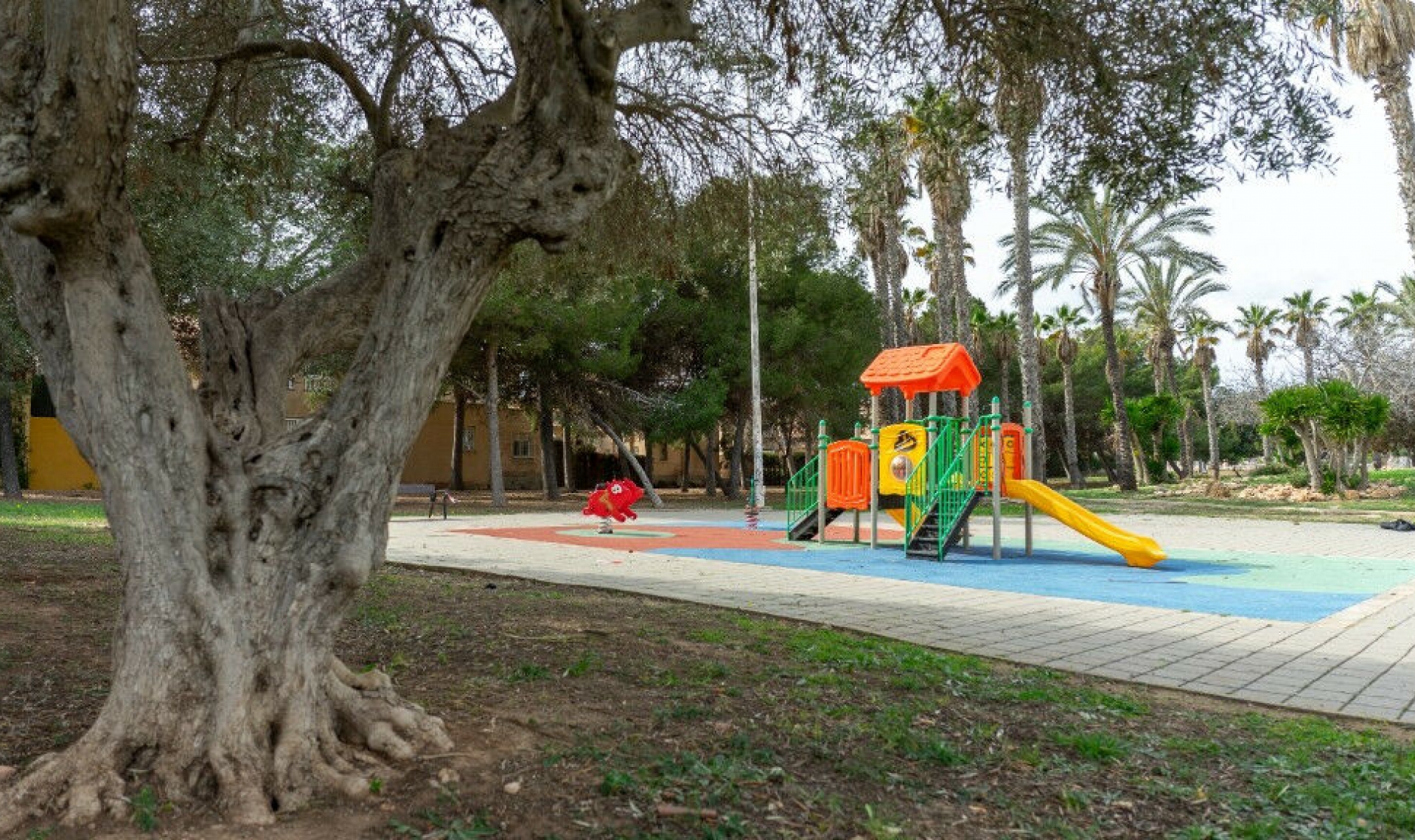 Resale - House -
Los Altos