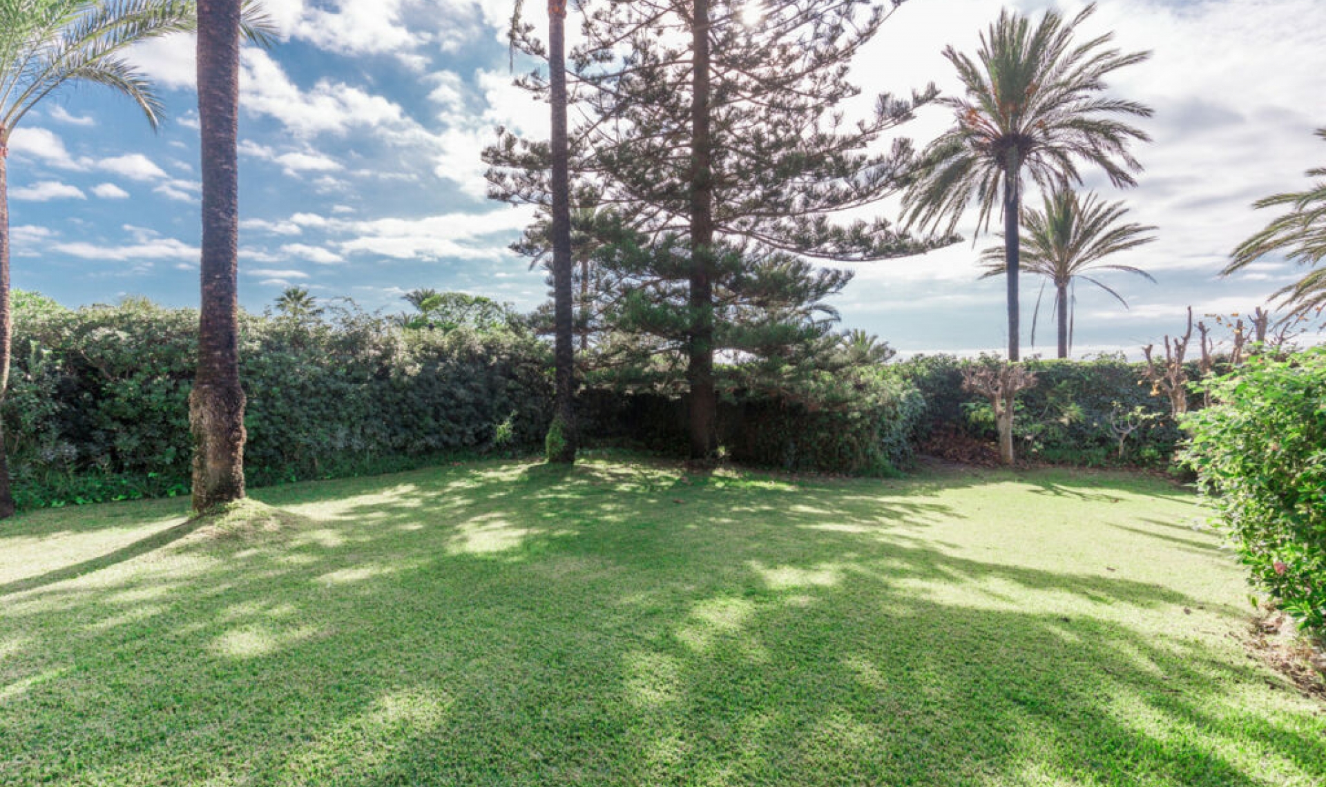Resale - House -
Los Monteros