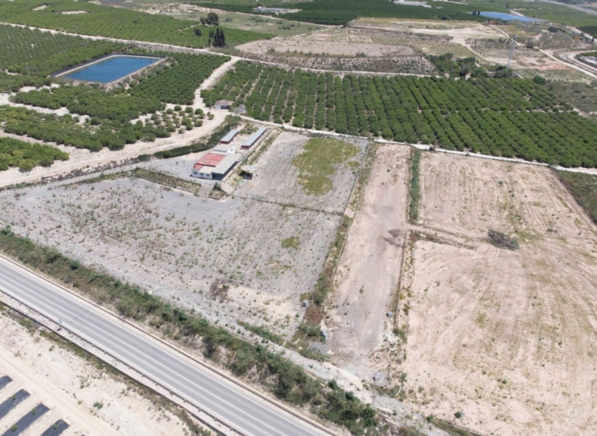 Resale - House -
Los Montesinos