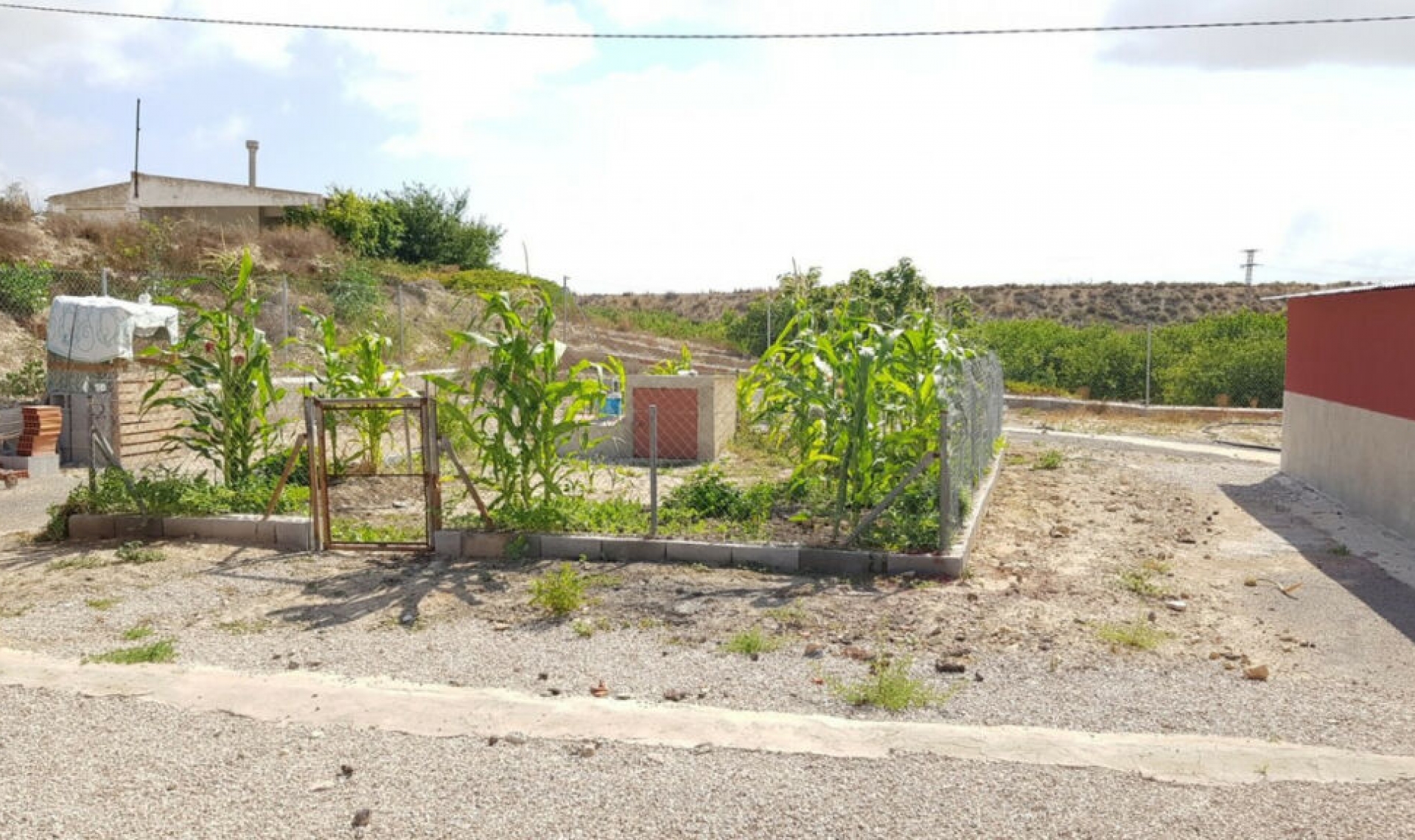 Resale - House -
Los Montesinos