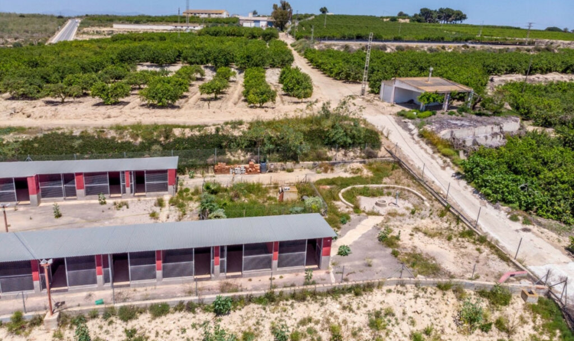 Resale - House -
Los Montesinos