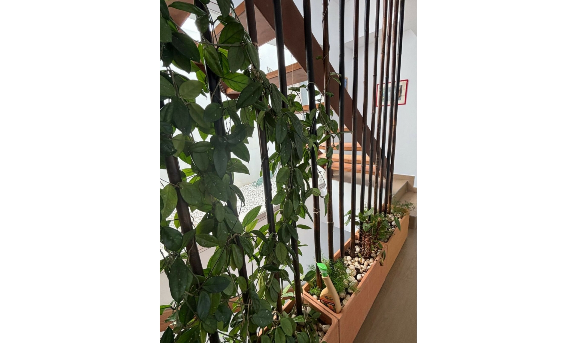 Resale - House -
Los Pacos