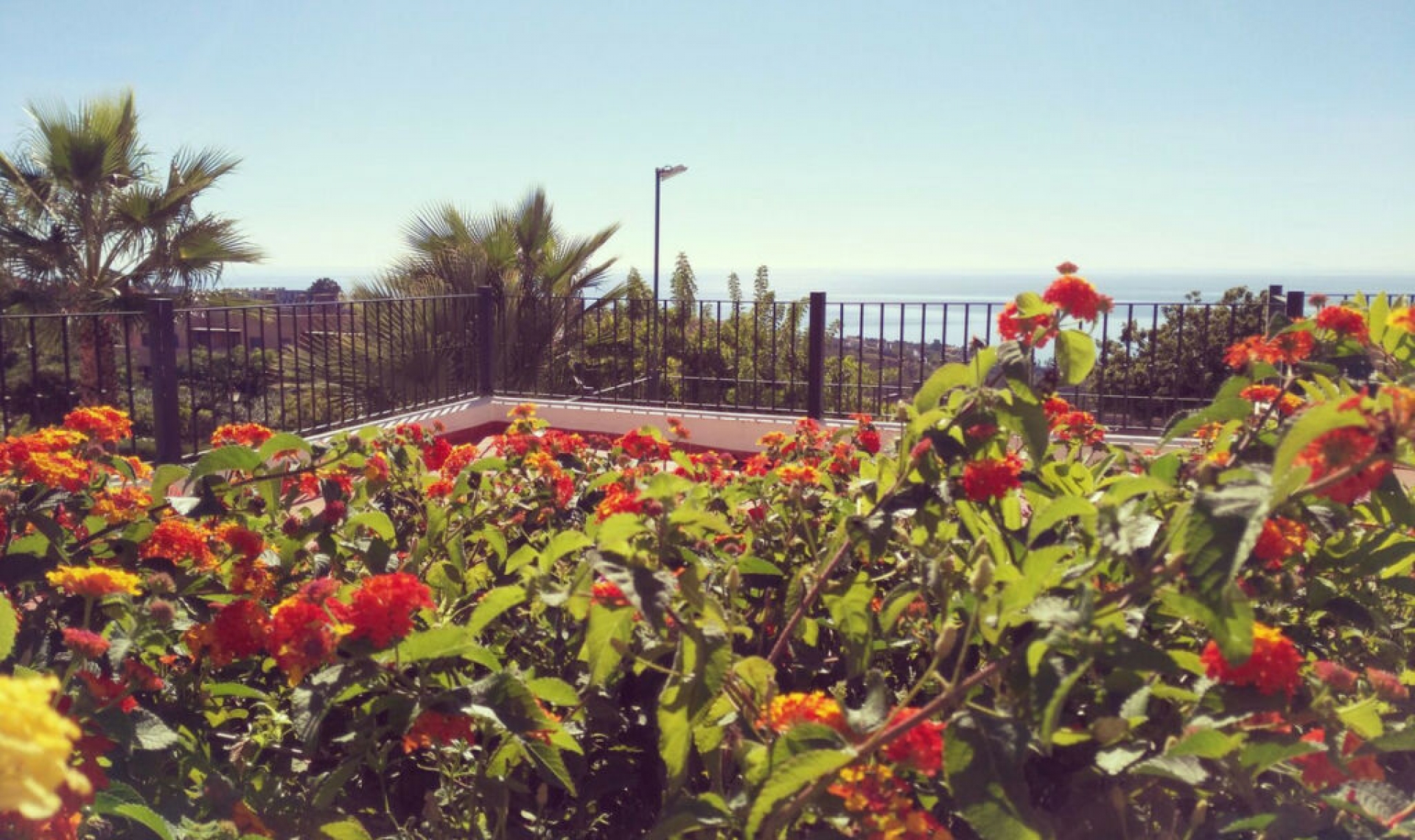 Resale - House -
Manilva