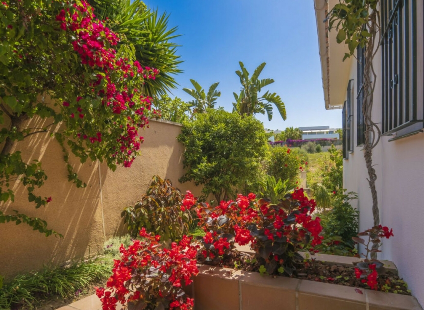 Resale - House -
Marbella