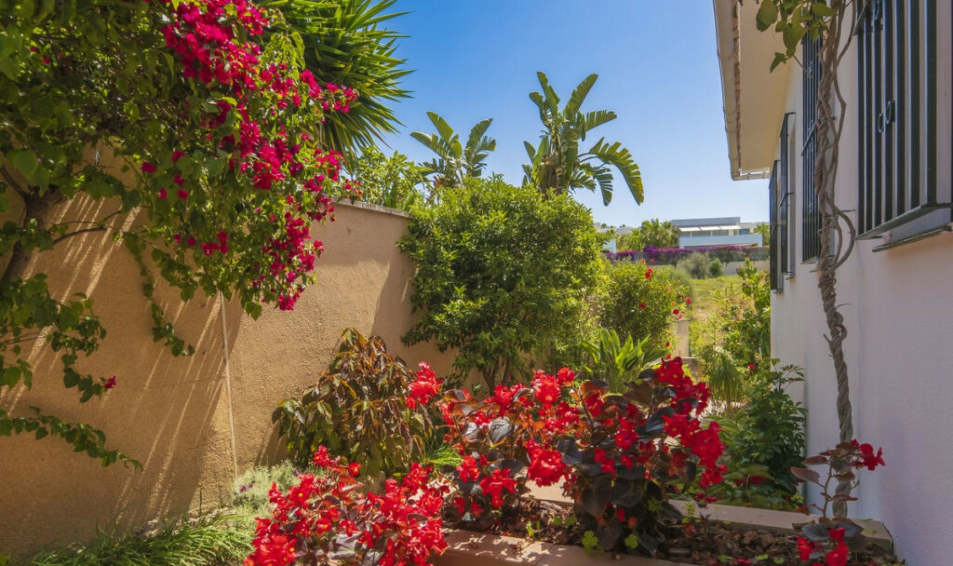 Resale - House -
Marbella