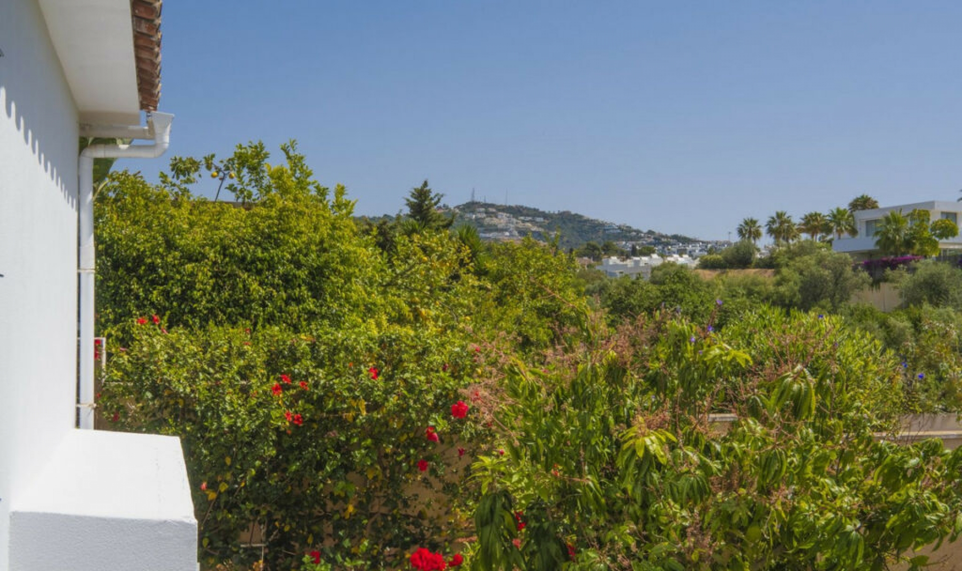 Resale - House -
Marbella