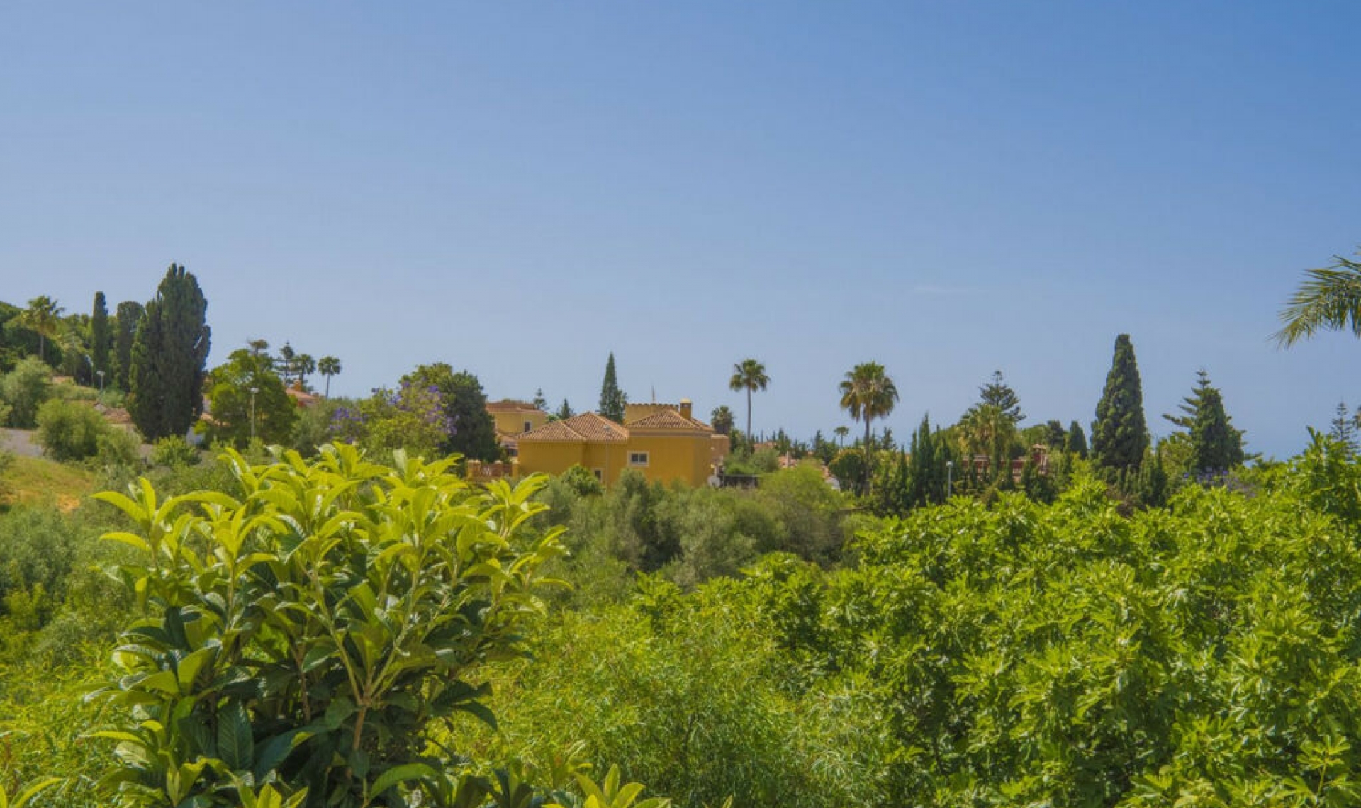 Resale - House -
Marbella