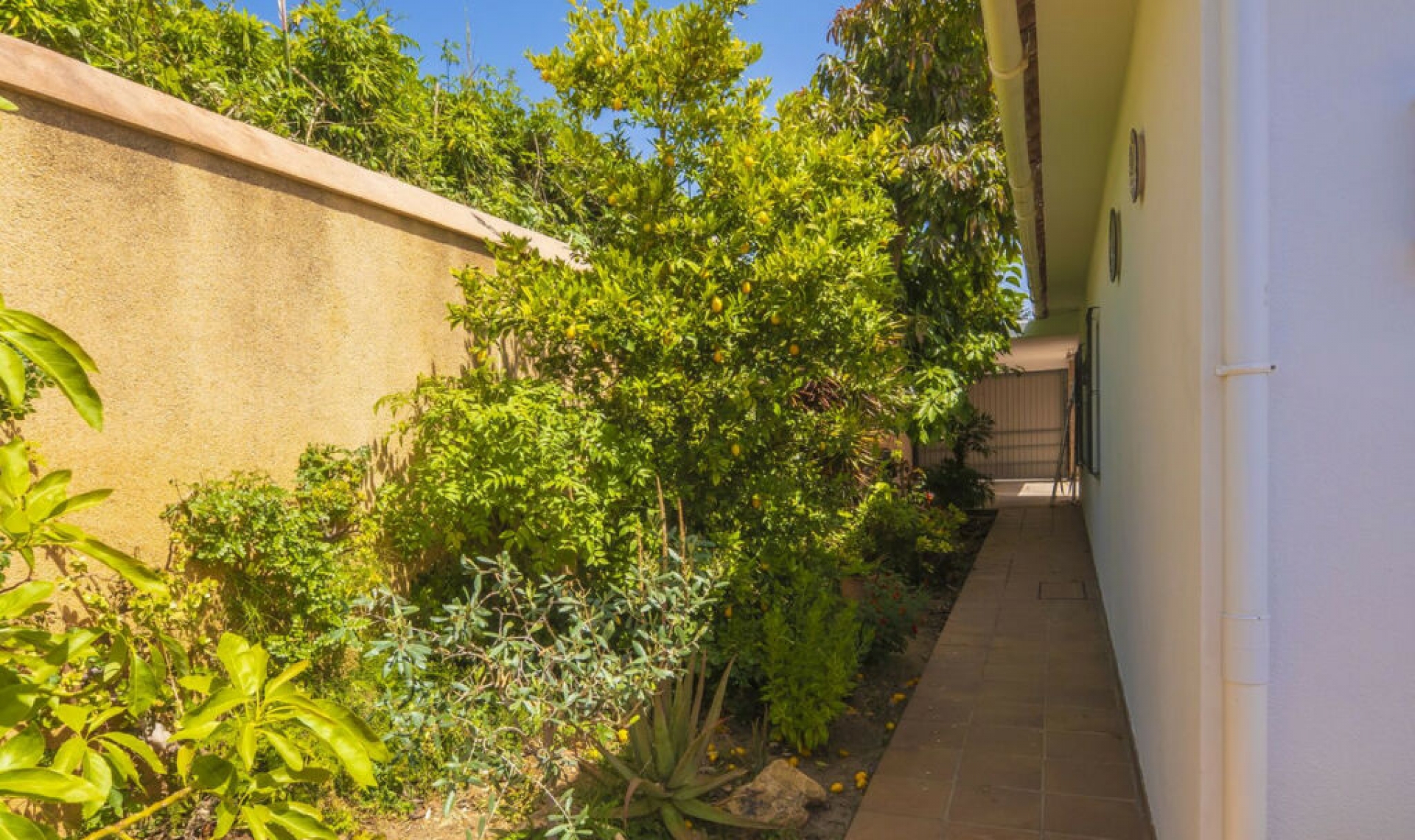 Resale - House -
Marbella