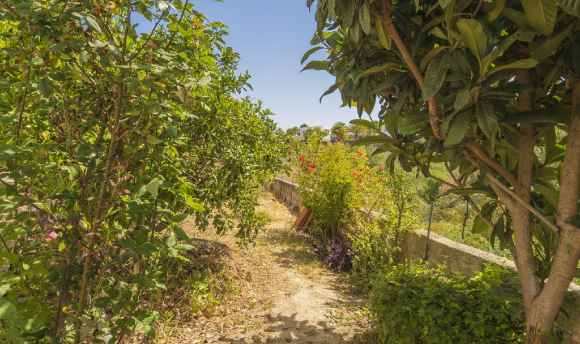 Resale - House -
Marbella