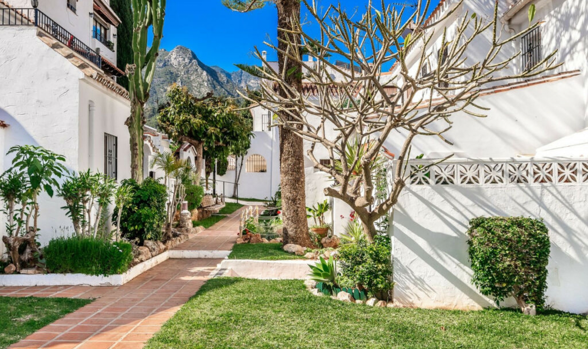 Resale - House -
Marbella