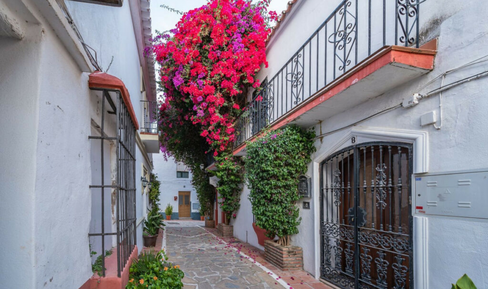 Resale - House -
Marbella