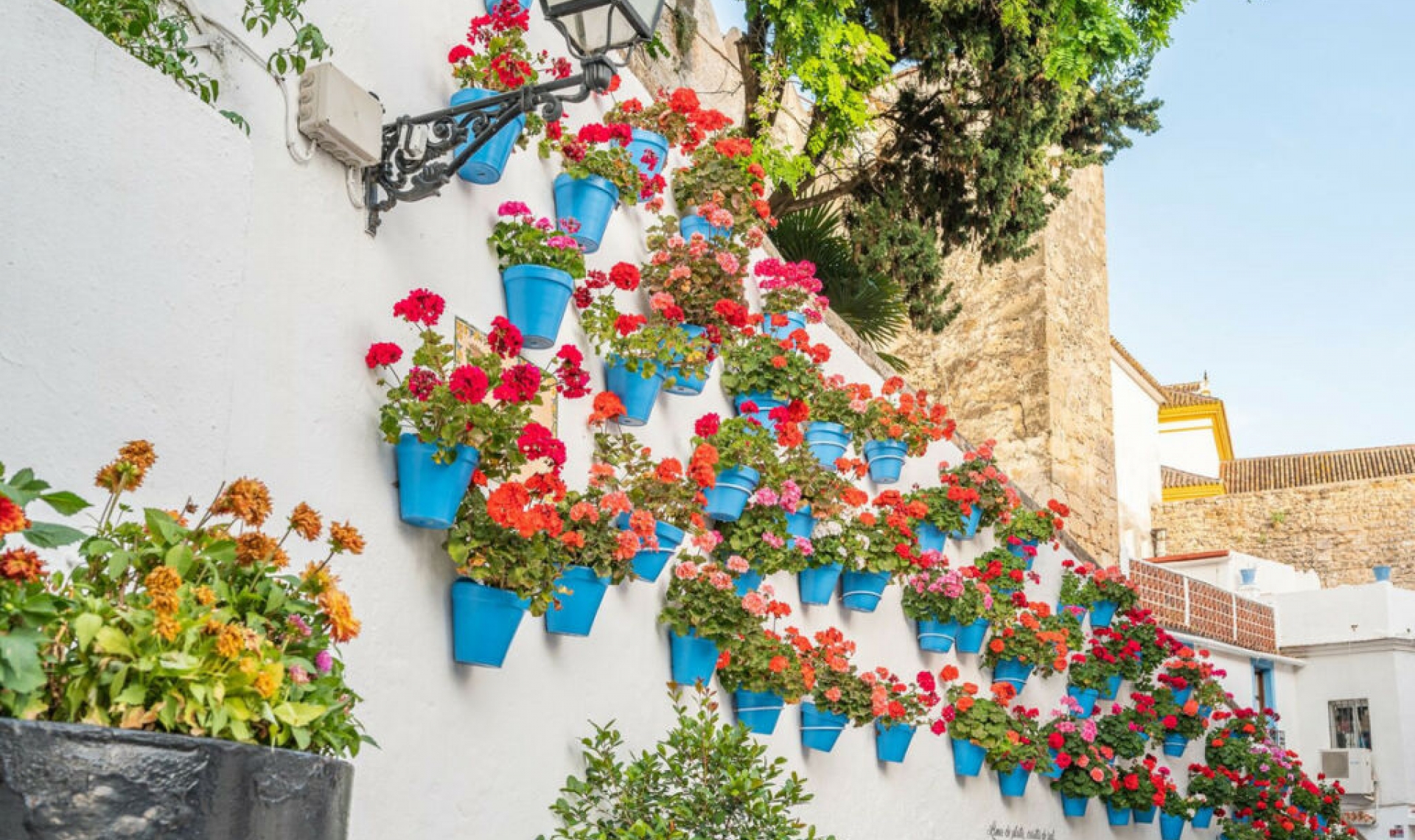 Resale - House -
Marbella