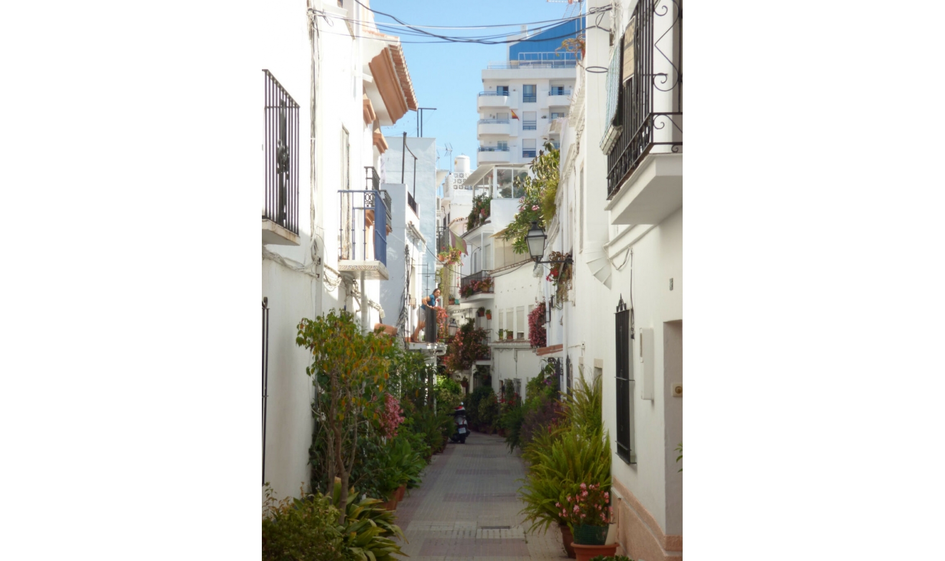 Resale - House -
Marbella