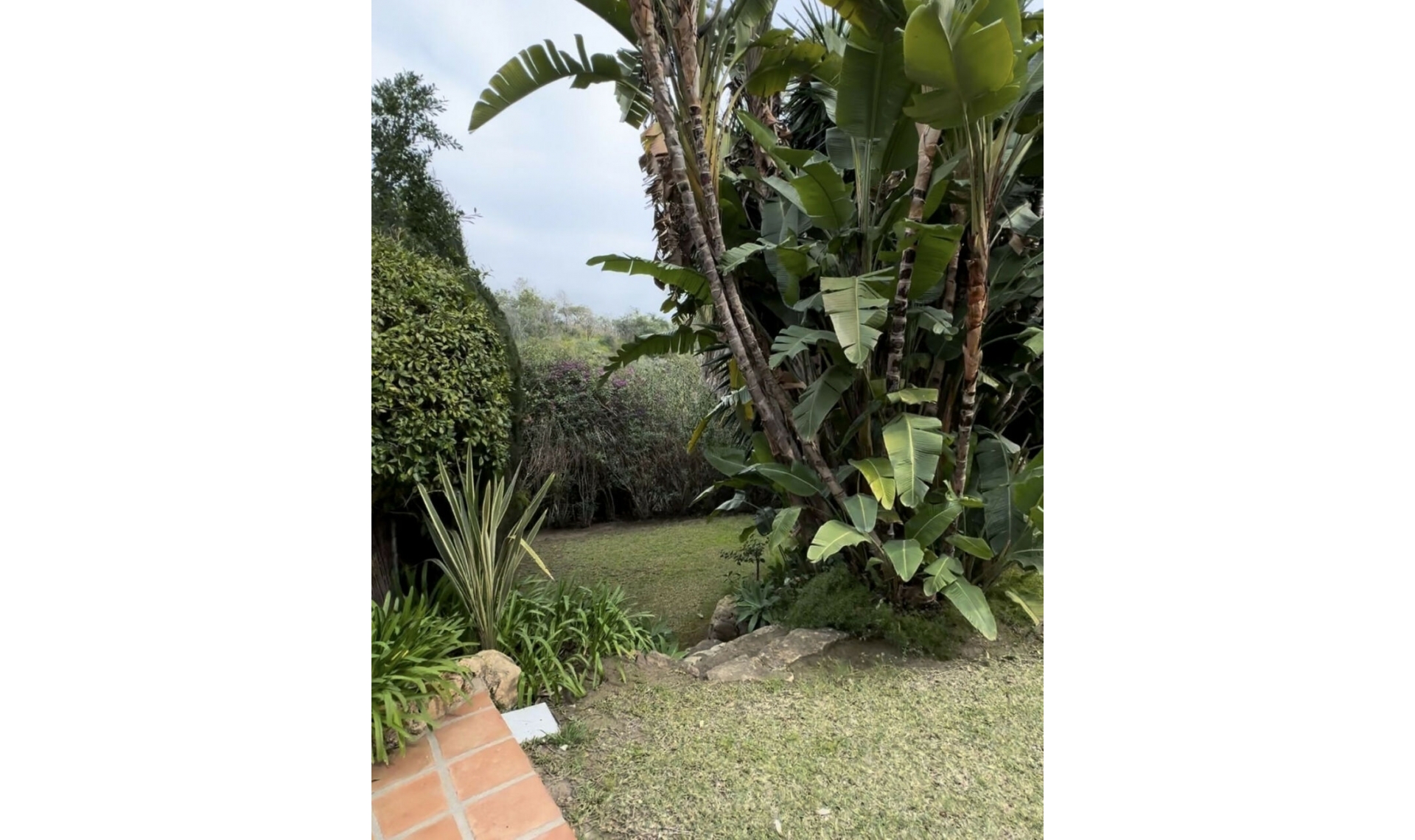 Resale - House -
Marbella