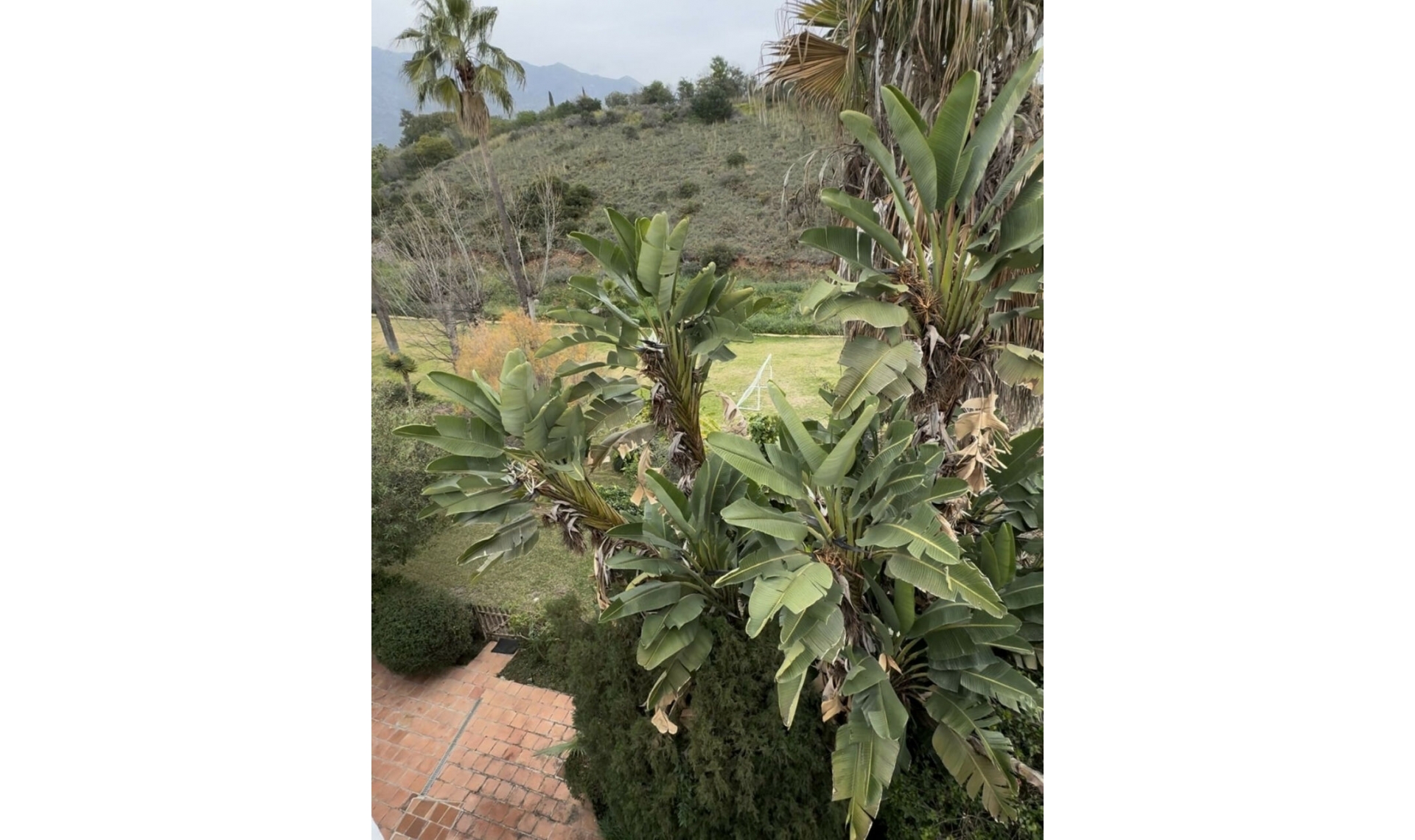 Resale - House -
Marbella