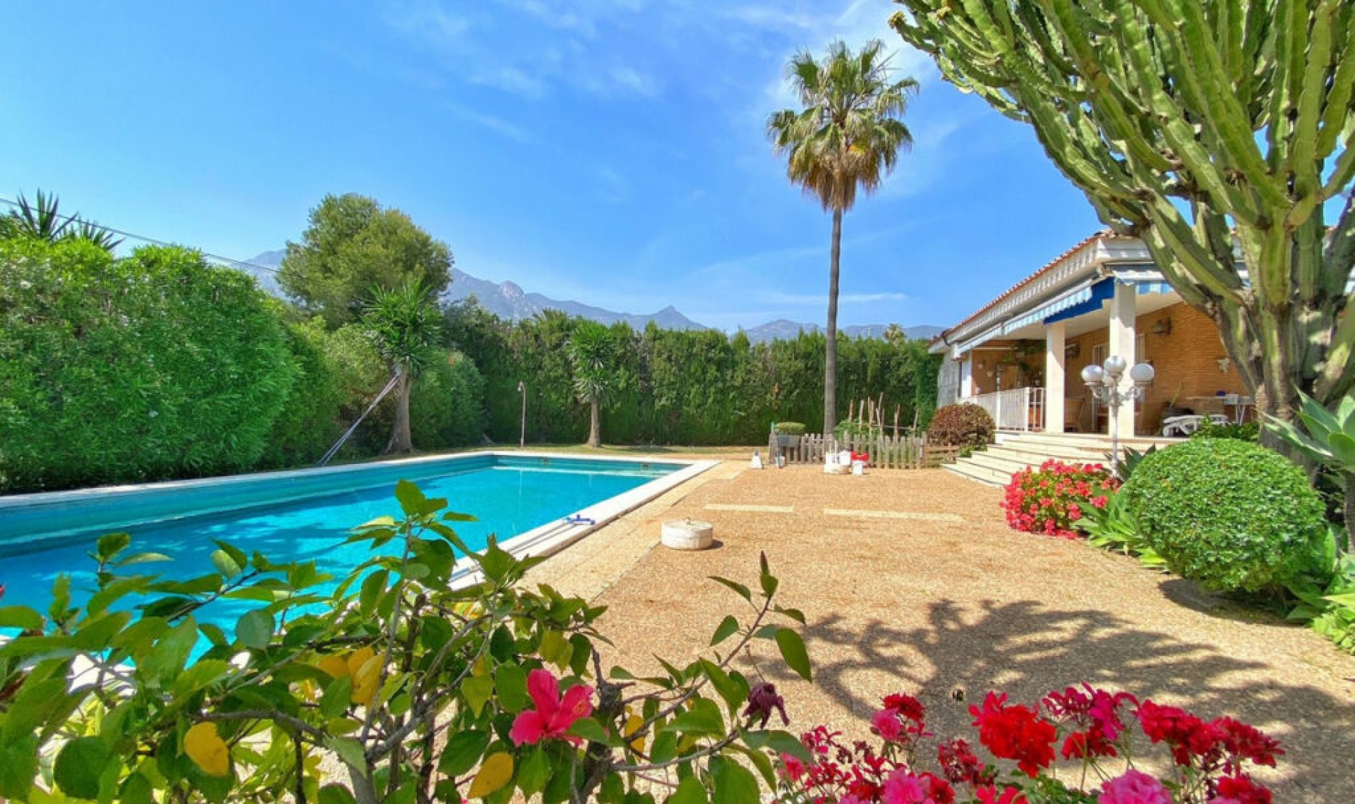 Resale - House -
Marbella