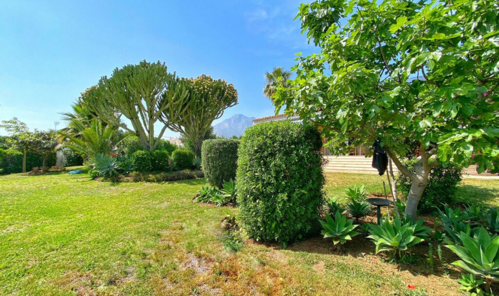 Resale - House -
Marbella