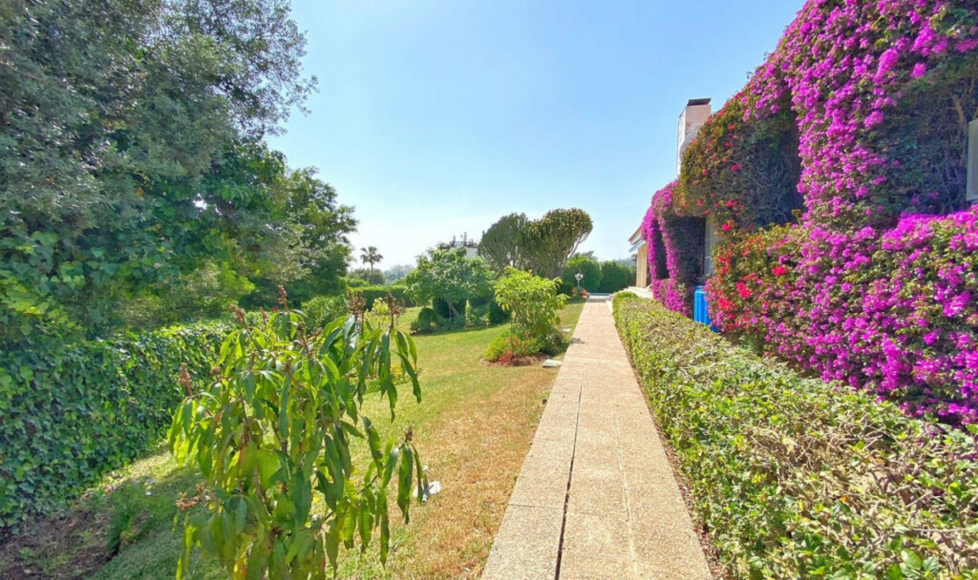 Resale - House -
Marbella