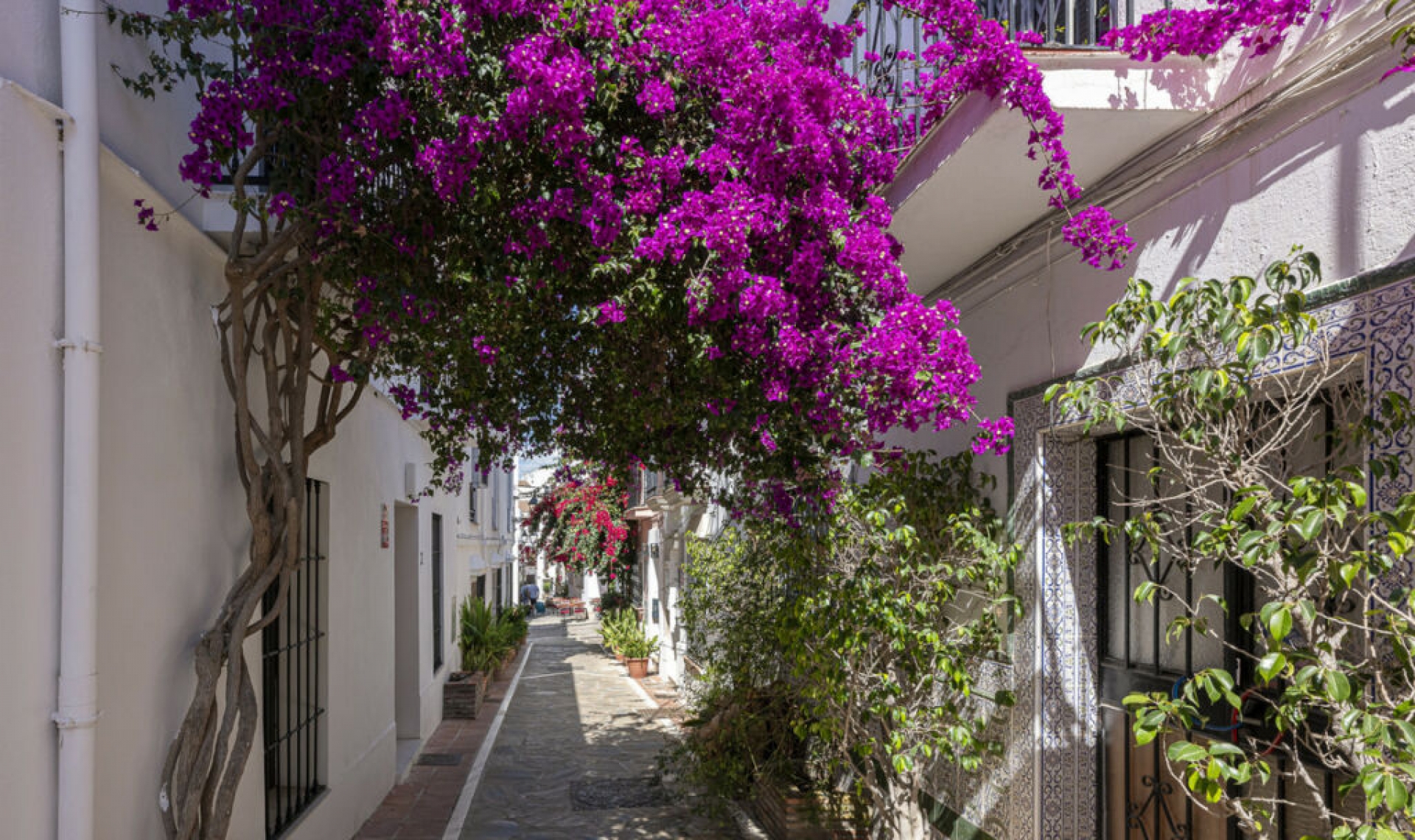 Resale - House -
Marbella