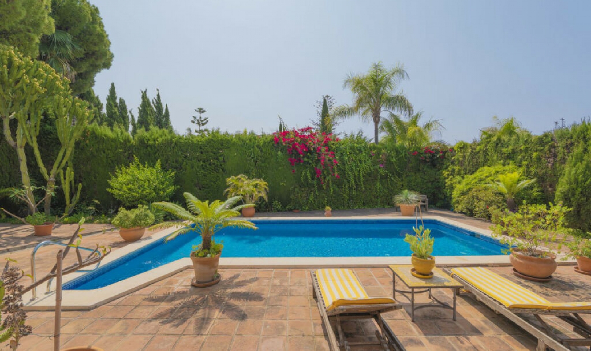 Resale - House -
Marbella