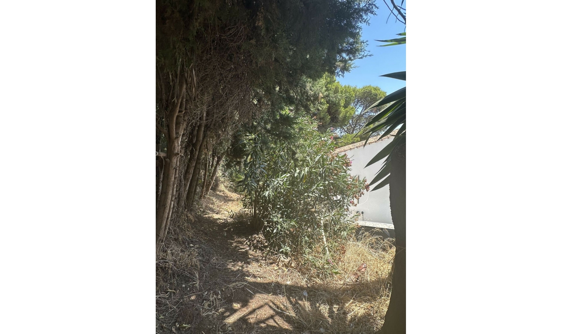 Resale - House -
Marbella