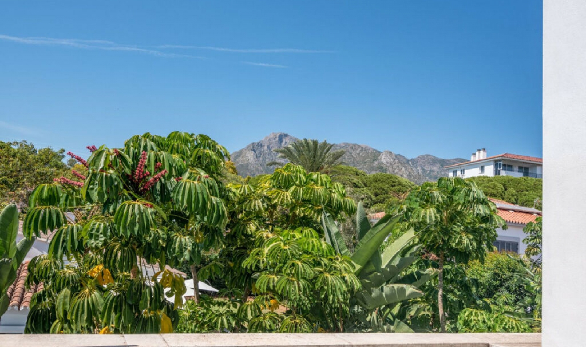 Resale - House -
Marbella